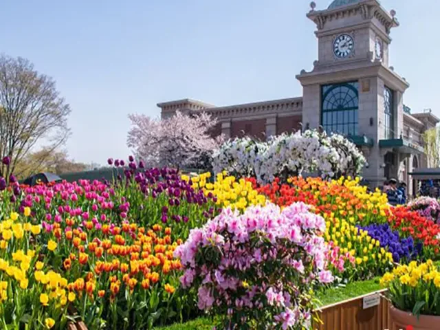 Tour Hàn Quốc — Nami, Seoul, Everland, Hàn Quốc — ảnh 4
