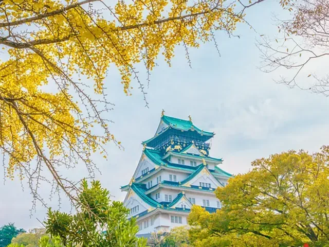 Tour Nhật Bản — Kyoto, Osaka, Kobe, Nhật Bản — ảnh 2