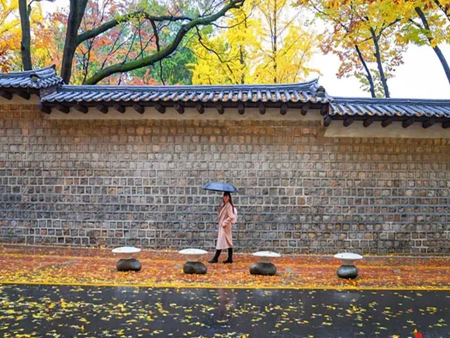 Tour Hàn Quốc — Nami, Seoul, Hàn Quốc, Seorak — ảnh 1