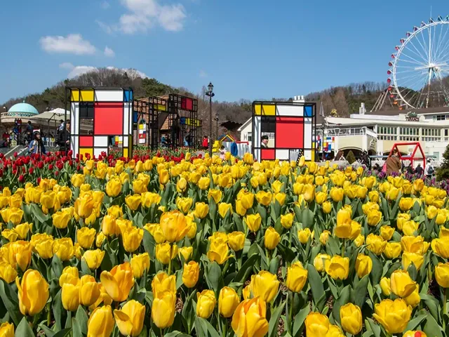 Tour Hàn Quốc — Nami, Seoul, Everland — ảnh 2