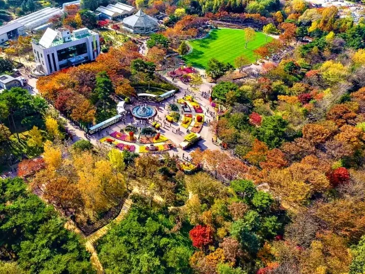 Tour Hàn Quốc — Busan, Daegu, Seoul — ảnh 3