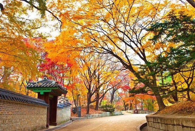 Tour Hàn Quốc — Busan, Seoul, Korean Folk Village — ảnh 2