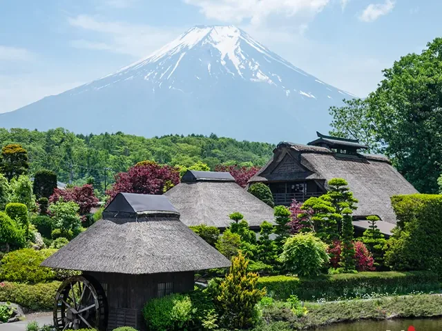 Tour Nhật Bản — Tokyo, Núi Phú Sĩ, Kyoto, Osaka, Kobe, Nhật Bản — ảnh 5