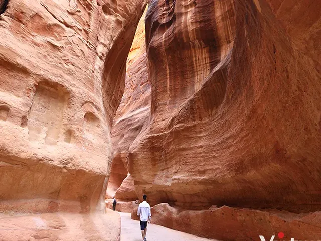 Tour Jordan — Jordan, Madaba, Amman, Petra — ảnh 3