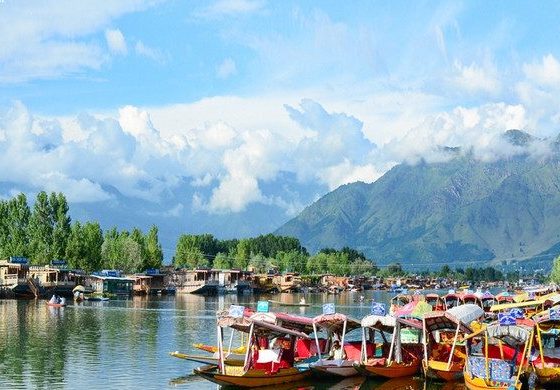 Tour Ấn Độ — Kashmir, Delhi, Sonamarg, Gulmarg — ảnh 5